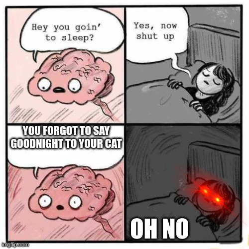 me every night | YOU FORGOT TO SAY GOODNIGHT TO YOUR CAT; OH NO | image tagged in hey you going to sleep,cat | made w/ Imgflip meme maker