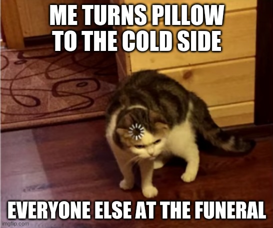 who dosen't like the cold side | ME TURNS PILLOW TO THE COLD SIDE; EVERYONE ELSE AT THE FUNERAL | image tagged in loading cat hd | made w/ Imgflip meme maker