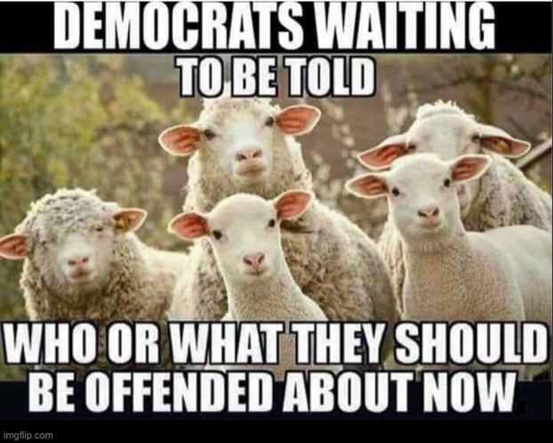 We are individuals! | image tagged in vince vance,brainwashed,sheep,sheeple,democrats,liberals | made w/ Imgflip meme maker