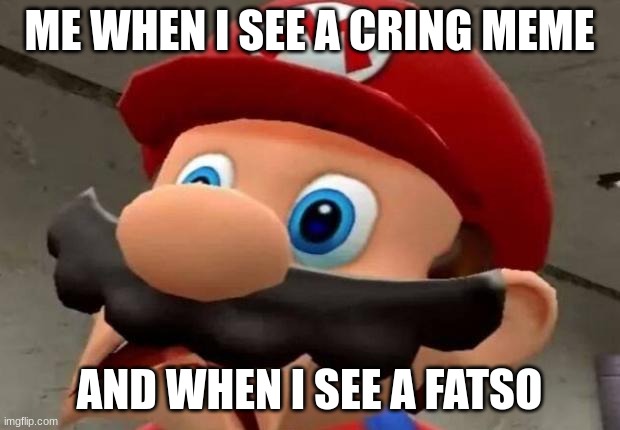 Mario WTF | ME WHEN I SEE A CRING MEME; AND WHEN I SEE A FATSO | image tagged in mario wtf | made w/ Imgflip meme maker