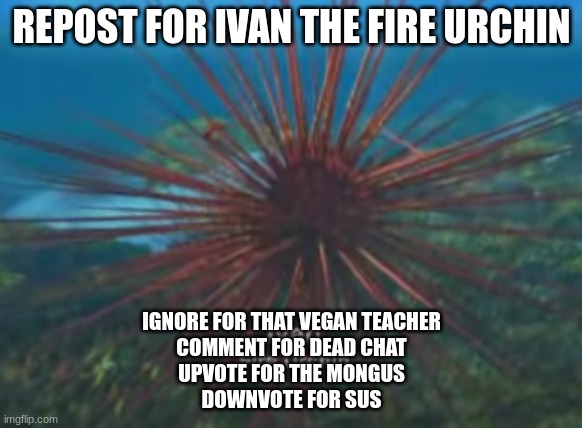 dude was dancin on him | REPOST FOR IVAN THE FIRE URCHIN; IGNORE FOR THAT VEGAN TEACHER
COMMENT FOR DEAD CHAT
UPVOTE FOR THE MONGUS
DOWNVOTE FOR SUS | made w/ Imgflip meme maker