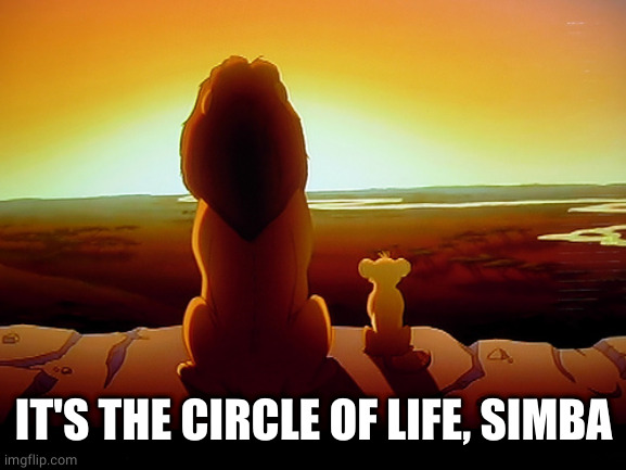 Lion King Meme | IT'S THE CIRCLE OF LIFE, SIMBA | image tagged in memes,lion king | made w/ Imgflip meme maker