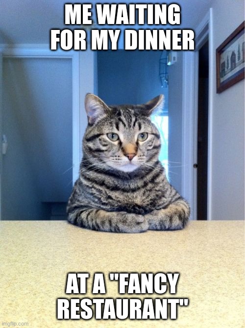 Take A Seat Cat Meme | ME WAITING FOR MY DINNER; AT A "FANCY RESTAURANT" | image tagged in memes,take a seat cat,fancy | made w/ Imgflip meme maker
