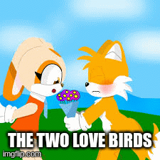 tails x cream | THE TWO LOVE BIRDS | image tagged in funny gif | made w/ Imgflip images-to-gif maker