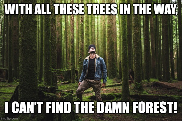 Forest for the trees, missing the point |  WITH ALL THESE TREES IN THE WAY, I CAN’T FIND THE DAMN FOREST! | image tagged in trees | made w/ Imgflip meme maker