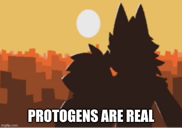 Puro and human sunset | PROTOGENS ARE REAL | image tagged in puro and human sunset | made w/ Imgflip meme maker