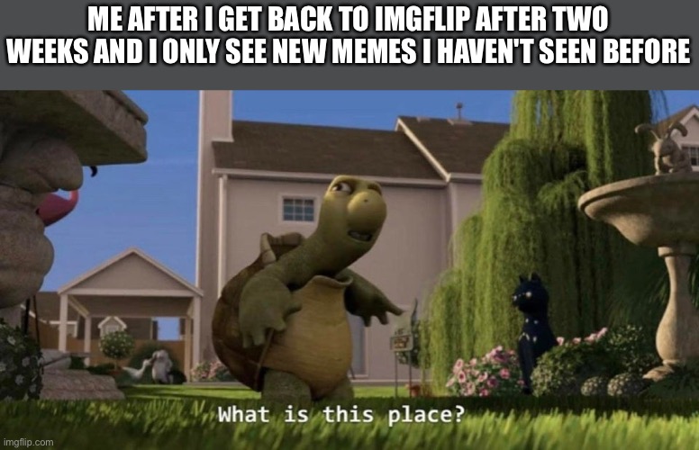 I'm back!!!! It's been a while. | ME AFTER I GET BACK TO IMGFLIP AFTER TWO WEEKS AND I ONLY SEE NEW MEMES I HAVEN'T SEEN BEFORE | image tagged in what is this place | made w/ Imgflip meme maker