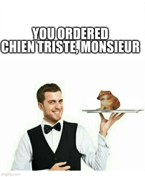 waiter | YOU ORDERED CHIEN TRISTE, MONSIEUR | image tagged in waiter | made w/ Imgflip meme maker