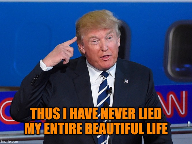 Donald Trump Roll Safe | THUS I HAVE NEVER LIED MY ENTIRE BEAUTIFUL LIFE | image tagged in donald trump roll safe | made w/ Imgflip meme maker