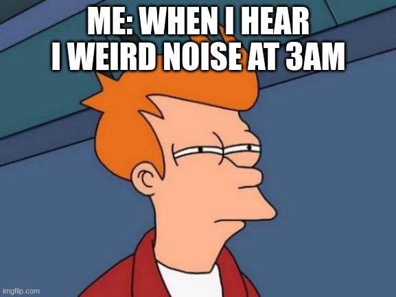 3 AM | ME: WHEN I HEAR I WEIRD NOISE AT 3 AM | image tagged in memes,futurama fry | made w/ Imgflip meme maker