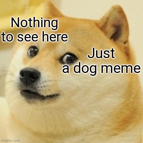 Just a dog meme | Nothing to see here; Just a dog meme | image tagged in memes,doge,dog meme,nothing to see here | made w/ Imgflip meme maker
