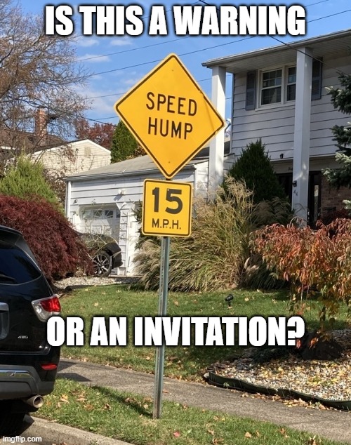 speed hump |  IS THIS A WARNING; OR AN INVITATION? | image tagged in funny road signs | made w/ Imgflip meme maker