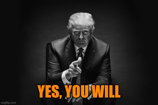 Donald Trump Thug Life | YES, YOU WILL | image tagged in donald trump thug life | made w/ Imgflip meme maker