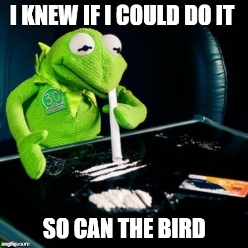 Kermit Coke | I KNEW IF I COULD DO IT SO CAN THE BIRD | image tagged in kermit coke | made w/ Imgflip meme maker