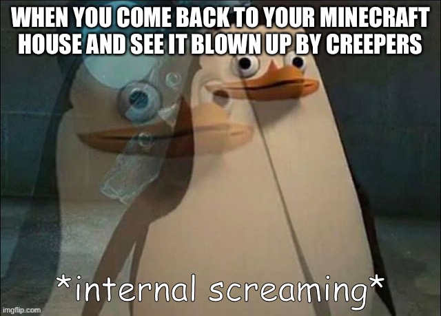 Anybody agree? | WHEN YOU COME BACK TO YOUR MINECRAFT HOUSE AND SEE IT BLOWN UP BY CREEPERS | image tagged in rico internal screaming | made w/ Imgflip meme maker