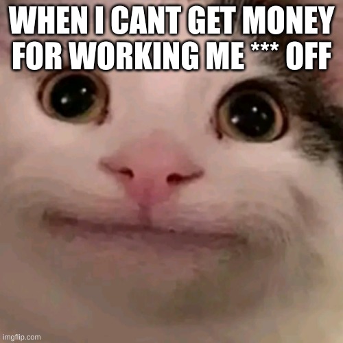 Beluga | WHEN I CANT GET MONEY FOR WORKING ME *** OFF | image tagged in beluga | made w/ Imgflip meme maker