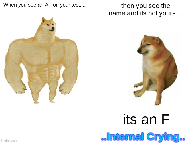 Buff Doge vs. Cheems | When you see an A+ on your test.... then you see the name and its not yours.... its an F; ..Internal Crying.. | image tagged in memes,buff doge vs cheems | made w/ Imgflip meme maker