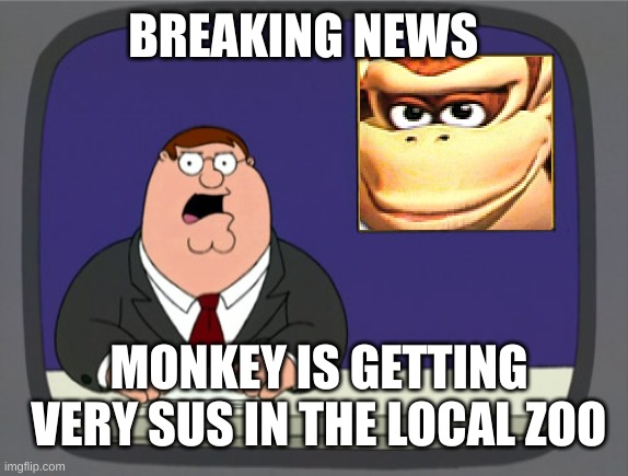 i think it time to pack my stuff | BREAKING NEWS; MONKEY IS GETTING VERY SUS IN THE LOCAL ZOO | image tagged in memes,peter griffin news,sus face,donky kong being sus no cap | made w/ Imgflip meme maker