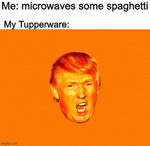 Me: microwaves some spaghetti; My Tupperware: | image tagged in funny | made w/ Imgflip meme maker