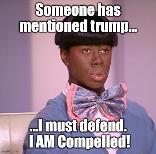 putting the bow in bowl cut | Someone has mentioned trump... ...I must defend.  I AM Compelled! | image tagged in putting the bow in bowl cut | made w/ Imgflip meme maker