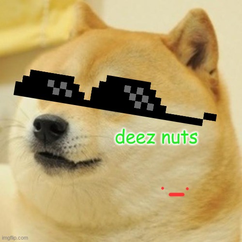 DN | deez nuts | image tagged in memes,doge | made w/ Imgflip meme maker