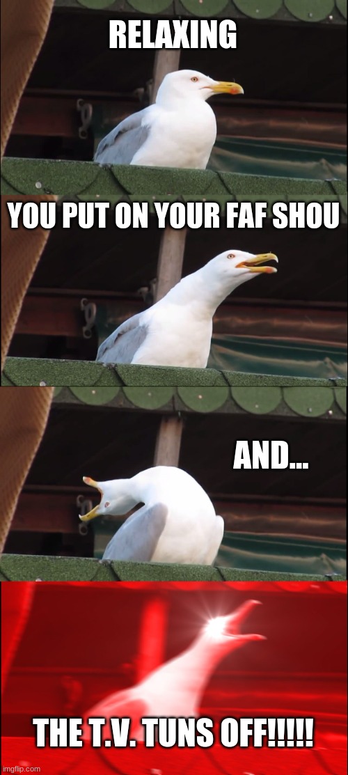 Inhaling Seagull | RELAXING; YOU PUT ON YOUR FAF SHOU; AND... THE T.V. TUNS OFF!!!!! | image tagged in memes,inhaling seagull | made w/ Imgflip meme maker