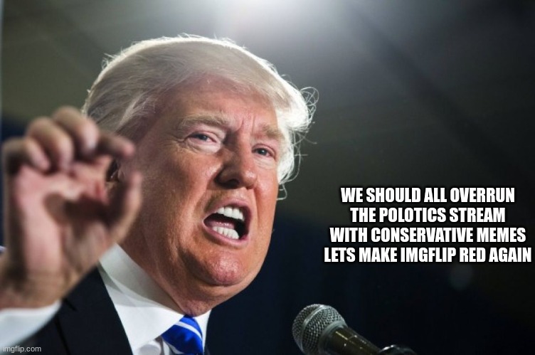donald trump | WE SHOULD ALL OVERRUN THE POLOTICS STREAM WITH CONSERVATIVE MEMES LETS MAKE IMGFLIP RED AGAIN | image tagged in donald trump | made w/ Imgflip meme maker