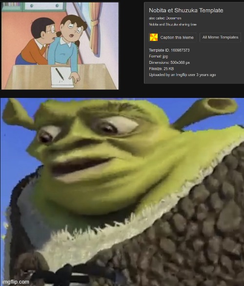 LOLI TEMPLATE!?!?!?!? | image tagged in shrek worried | made w/ Imgflip meme maker