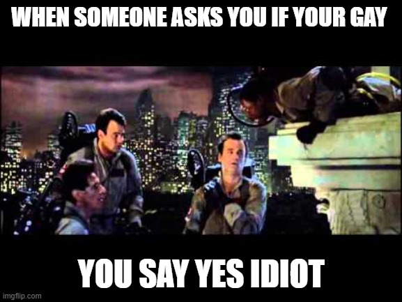 JUST ANSWER THE FREAKIN QUISTION | WHEN SOMEONE ASKS YOU IF YOUR GAY; YOU SAY YES IDIOT | image tagged in ghostbusters are you a god | made w/ Imgflip meme maker