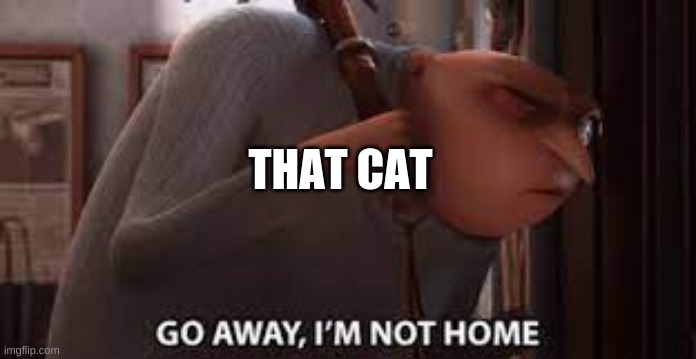 Gru go away, i'm not home | THAT CAT | image tagged in gru go away i'm not home | made w/ Imgflip meme maker