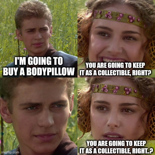 Anakin Padme 4 Panel | I'M GOING TO BUY A BODYPILLOW; YOU ARE GOING TO KEEP IT AS A COLLECTIBLE, RIGHT? YOU ARE GOING TO KEEP IT AS A COLLECTIBLE, RIGHT..? | image tagged in anakin padme 4 panel | made w/ Imgflip meme maker
