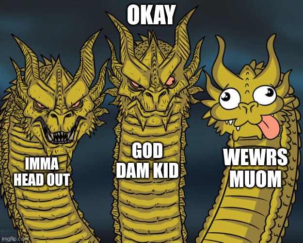 me and my sisters | OKAY; GOD DAM KID; WEWRS MUOM; IMMA HEAD OUT | image tagged in three-headed dragon | made w/ Imgflip meme maker