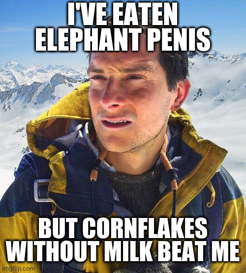Bear Grylls Meme | I'VE EATEN ELEPHANT PENIS BUT CORNFLAKES WITHOUT MILK BEAT ME | image tagged in memes,bear grylls | made w/ Imgflip meme maker