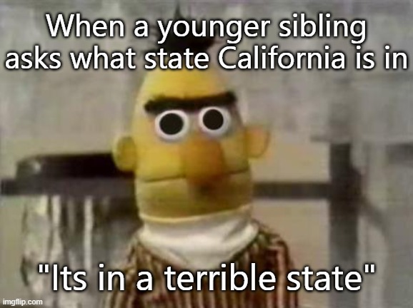 Bert Stare | When a younger sibling asks what state California is in; "Its in a terrible state" | image tagged in bert stare | made w/ Imgflip meme maker