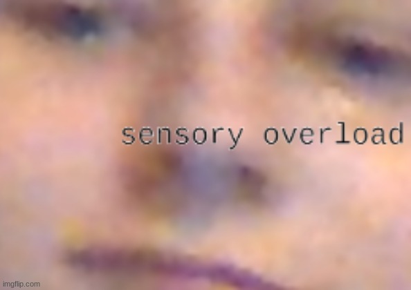 sensory overload | image tagged in sensory overload | made w/ Imgflip meme maker