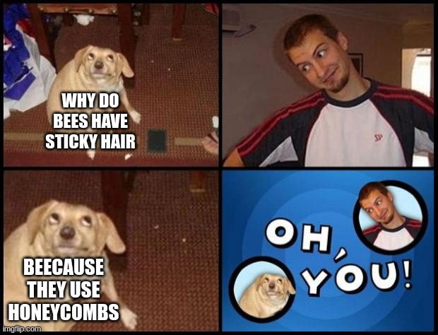 Oh You | WHY DO BEES HAVE STICKY HAIR; BEECAUSE THEY USE HONEYCOMBS | image tagged in oh you | made w/ Imgflip meme maker