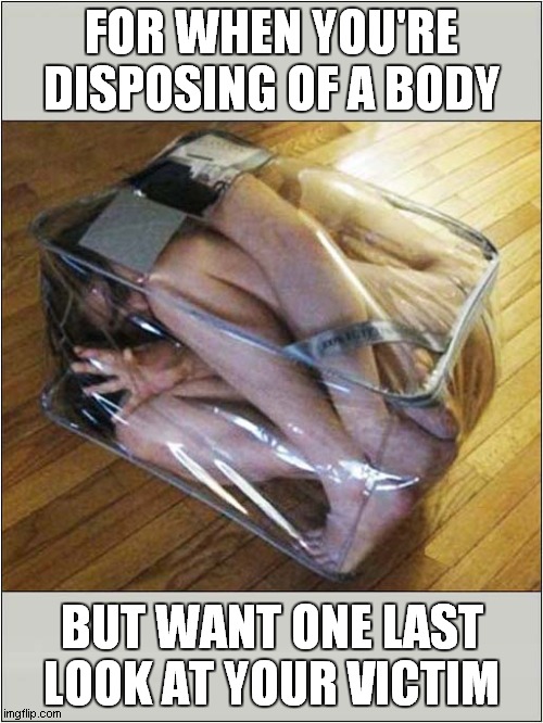 A Handy See-Thru Case | FOR WHEN YOU'RE DISPOSING OF A BODY; BUT WANT ONE LAST LOOK AT YOUR VICTIM | image tagged in dead body,disposal,dark humour | made w/ Imgflip meme maker