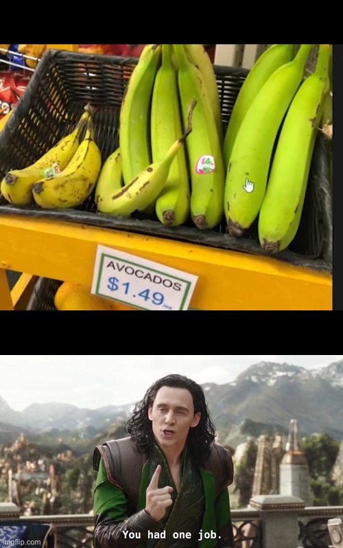 image tagged in you had one job loki | made w/ Imgflip meme maker