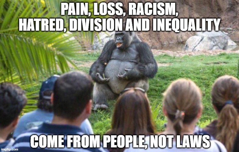 Gorilla lecture | PAIN, LOSS, RACISM, HATRED, DIVISION AND INEQUALITY COME FROM PEOPLE, NOT LAWS | image tagged in gorilla lecture | made w/ Imgflip meme maker