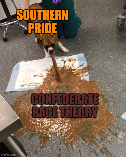 Dog Puking | SOUTHERN PRIDE CONFEDERATE RACE THEORY | image tagged in dog puking | made w/ Imgflip meme maker