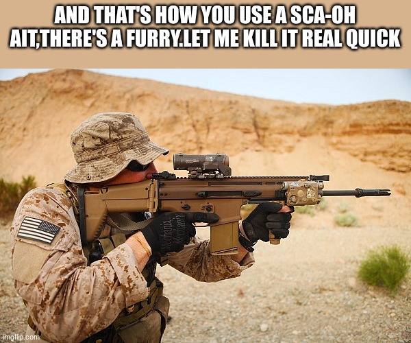 Do it. | AND THAT'S HOW YOU USE A SCA-OH AIT,THERE'S A FURRY.LET ME KILL IT REAL QUICK | image tagged in assault,rifle,s,c,a,r | made w/ Imgflip meme maker