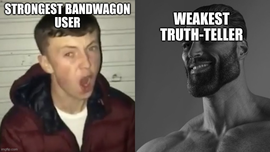 i had to do this for history class lol | WEAKEST TRUTH-TELLER; STRONGEST BANDWAGON
USER | image tagged in average fan vs average enjoyer | made w/ Imgflip meme maker