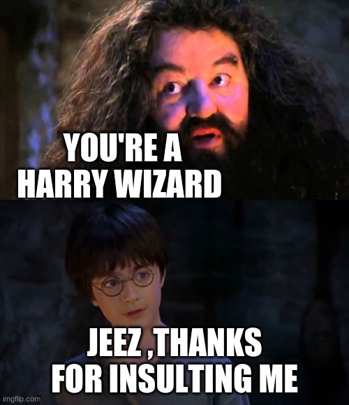 you're a harry wizard | YOU'RE A HARRY WIZARD; JEEZ ,THANKS FOR INSULTING ME | image tagged in you are wizzard harry | made w/ Imgflip meme maker