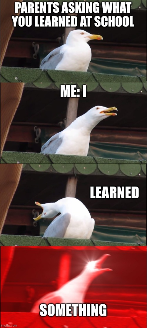 Inhaling Seagull | PARENTS ASKING WHAT YOU LEARNED AT SCHOOL; ME: I; LEARNED; SOMETHING | image tagged in memes,inhaling seagull | made w/ Imgflip meme maker