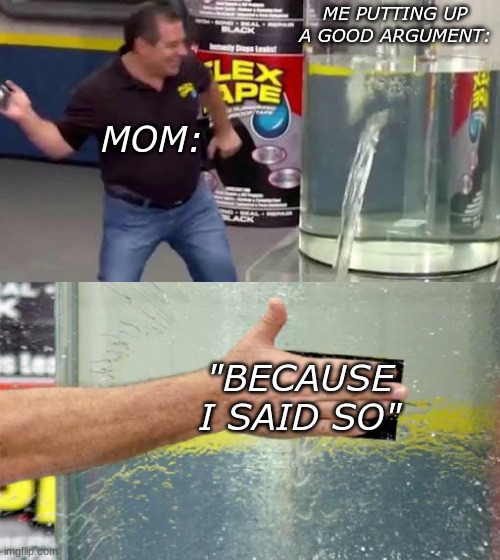 I said so, and i didnt ask | ME PUTTING UP A GOOD ARGUMENT:; MOM:; "BECAUSE I SAID SO" | image tagged in flex tape | made w/ Imgflip meme maker