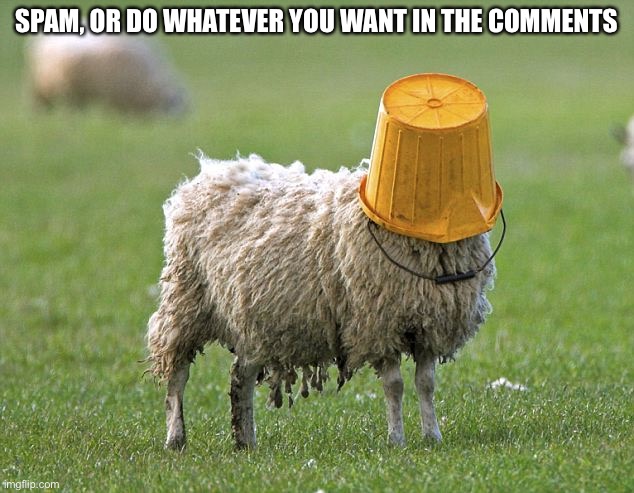 I’m bored af, do whatever | SPAM, OR DO WHATEVER YOU WANT IN THE COMMENTS | image tagged in stupid sheep | made w/ Imgflip meme maker