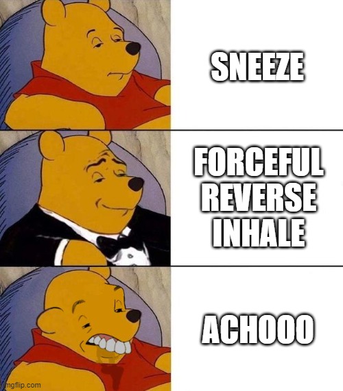 nasal kaboom | SNEEZE; FORCEFUL REVERSE INHALE; ACHOOO | image tagged in best better blurst | made w/ Imgflip meme maker