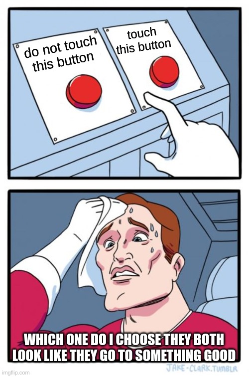 Button Madness | touch this button; do not touch this button; WHICH ONE DO I CHOOSE THEY BOTH LOOK LIKE THEY GO TO SOMETHING GOOD | image tagged in memes,two buttons | made w/ Imgflip meme maker