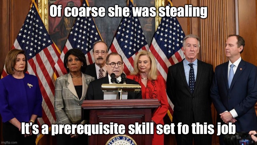 House Democrats | Of coarse she was stealing It’s a prerequisite skill set fo this job | image tagged in house democrats | made w/ Imgflip meme maker