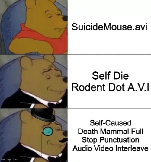 Fancy pooh | SuicideMouse.avi; Self Die Rodent Dot A.V.I; Self-Caused Death Mammal Full Stop Punctuation Audio Video Interleave | image tagged in fancy pooh | made w/ Imgflip meme maker